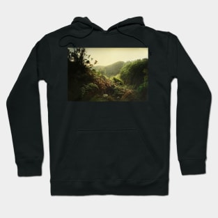 Landscape near Fish Creek Hoodie